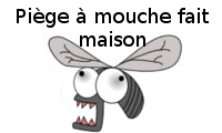 Piège à mouche fait maison