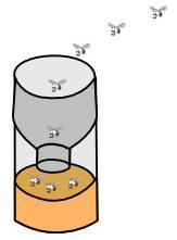 Construire soi-même un piège à mouches